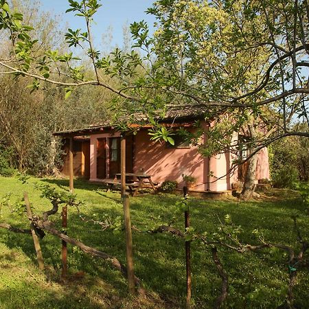 Casale Vigna Carbona Guest House Джаворано Екстериор снимка