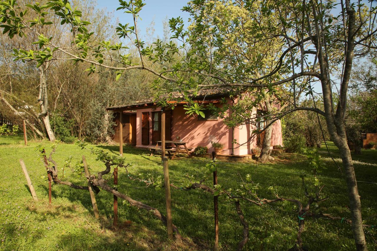 Casale Vigna Carbona Guest House Джаворано Екстериор снимка
