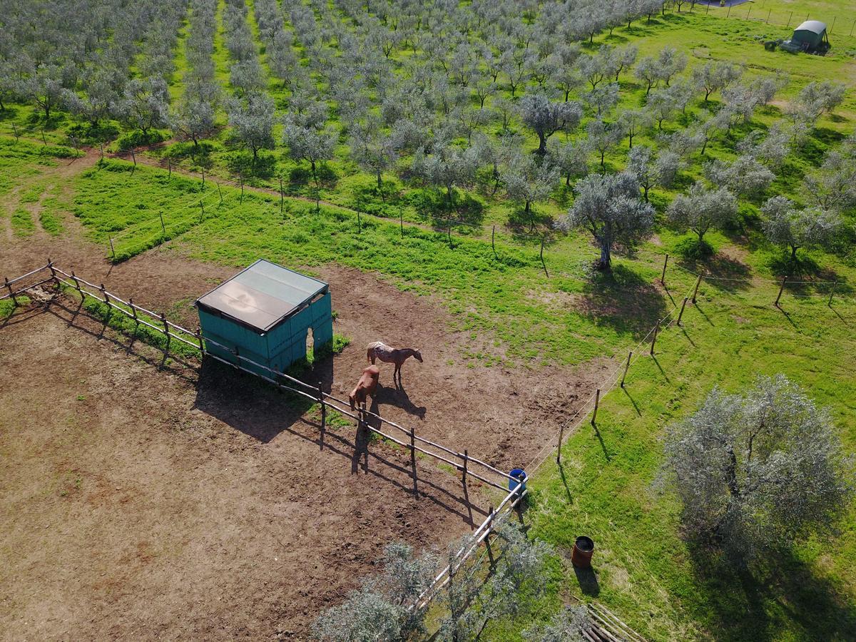 Casale Vigna Carbona Guest House Джаворано Екстериор снимка