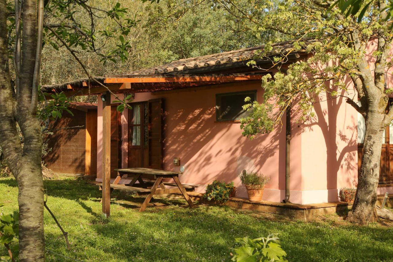 Casale Vigna Carbona Guest House Джаворано Екстериор снимка